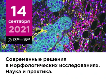 Семинар на базе ФГБНУ НИИМЧ