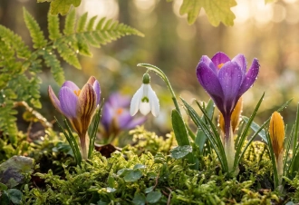 Поздравляем с 8 марта!