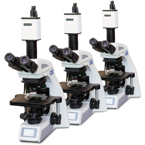 Учебные классы