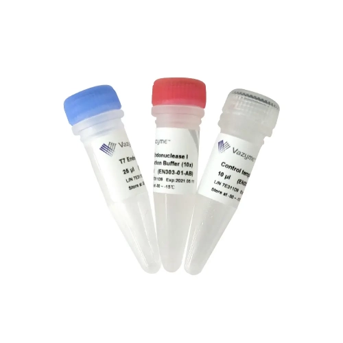 Клонирование